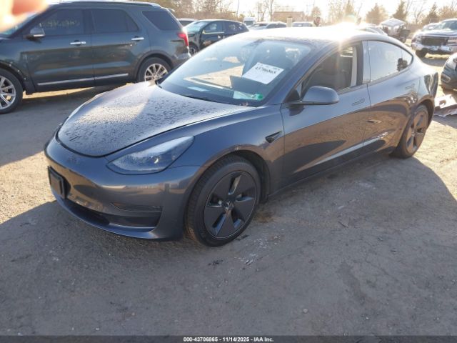 2023 TESLA MODEL 3 5YJ3E1EA6PF641705 Photo 1