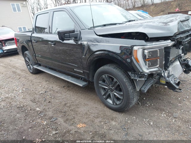 2023 FORD F-150 1FTFW1ED7PFD27433