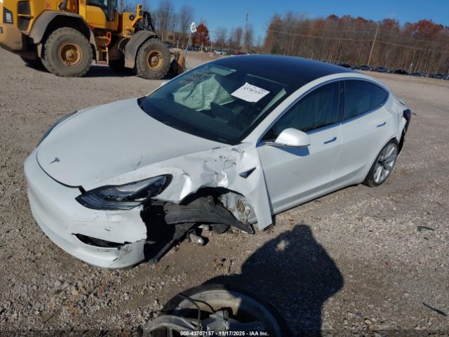 2019 TESLA MODEL 3 5YJ3E1EA1KF436253 Photo 1