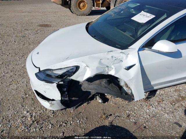 2019 TESLA MODEL 3 5YJ3E1EA1KF436253 Photo 5