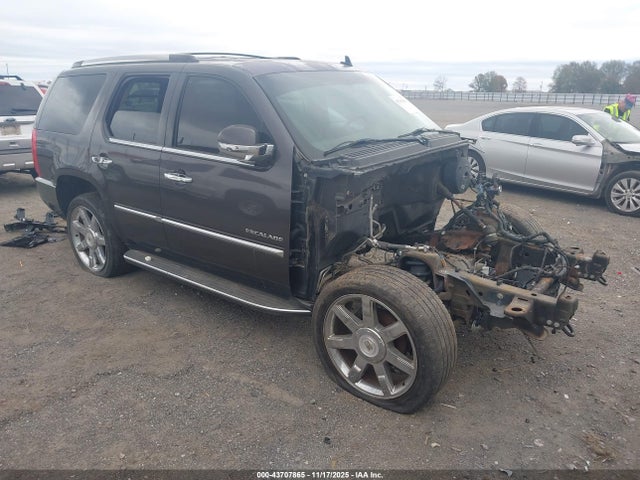 2010 CADILLAC ESCALADE 1GYUKBEF8AR260285