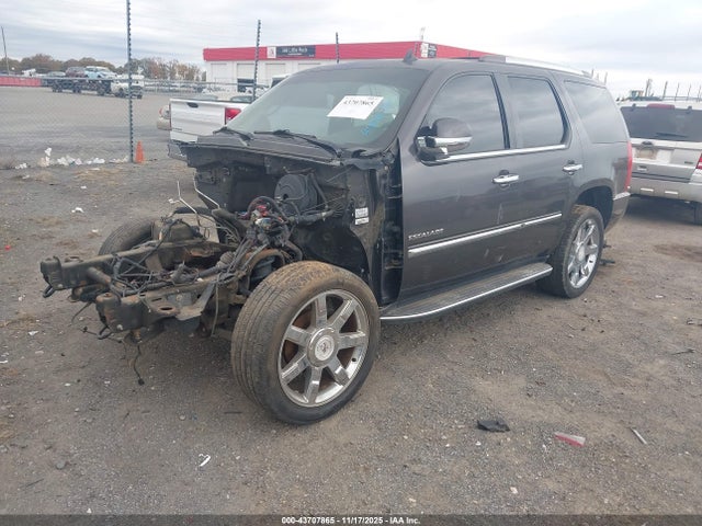 2010 CADILLAC ESCALADE 1GYUKBEF8AR260285 Photo 1