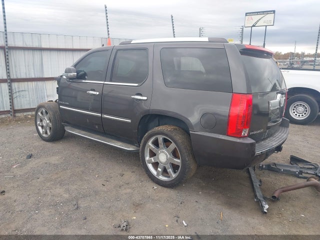 2010 CADILLAC ESCALADE 1GYUKBEF8AR260285 Photo 2