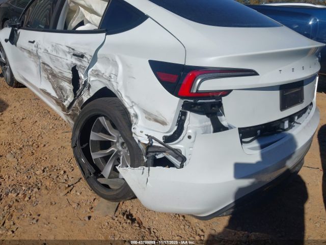 2025 TESLA MODEL 3 5YJ3E1EA3SF067850 Photo 5