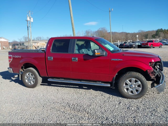 1FTFW1EF1EKD05515 Ford F-150 Xlt