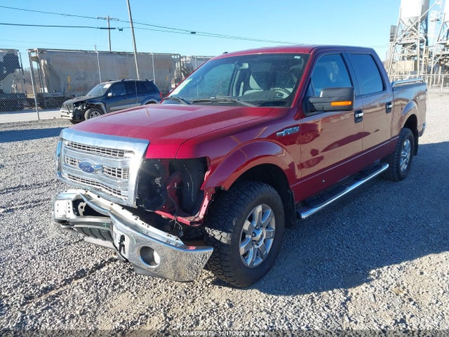 1FTFW1EF1EKD05515 Ford F-150 Xlt