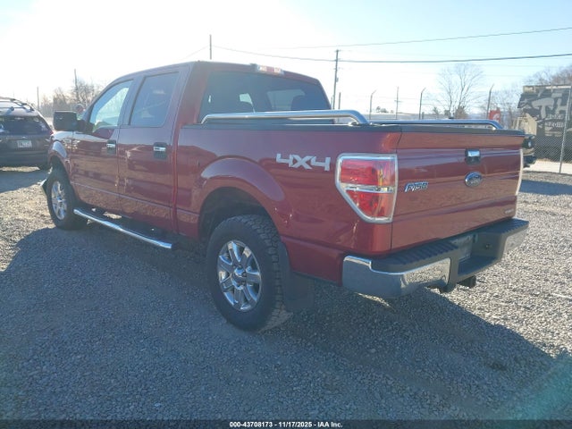 1FTFW1EF1EKD05515 Ford F-150 Xlt