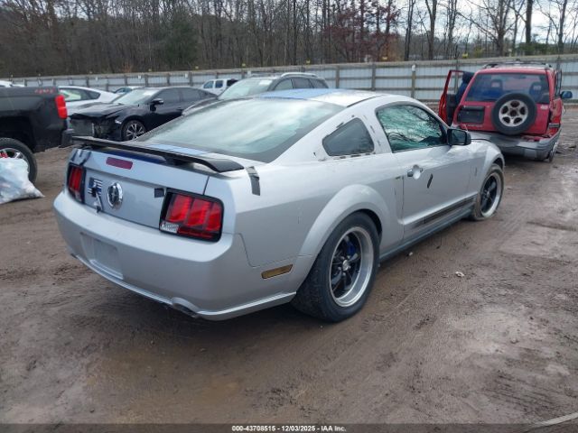 2005 FORD MUSTANG 1ZVFT80N655144994 Photo 3