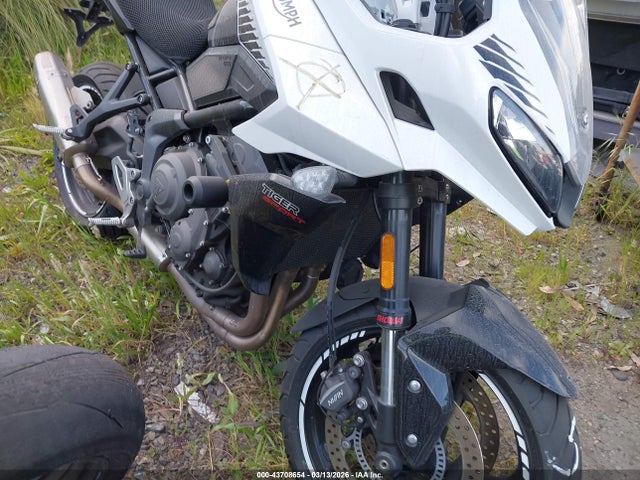 2024 TRIUMPH MOTORCYCLE TIGER SMTL20UL0RTBS4992