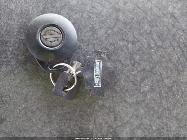 2006 HARLEY-DAVIDSON FLHRI 1HD1FBW176Y703862 Photo 10