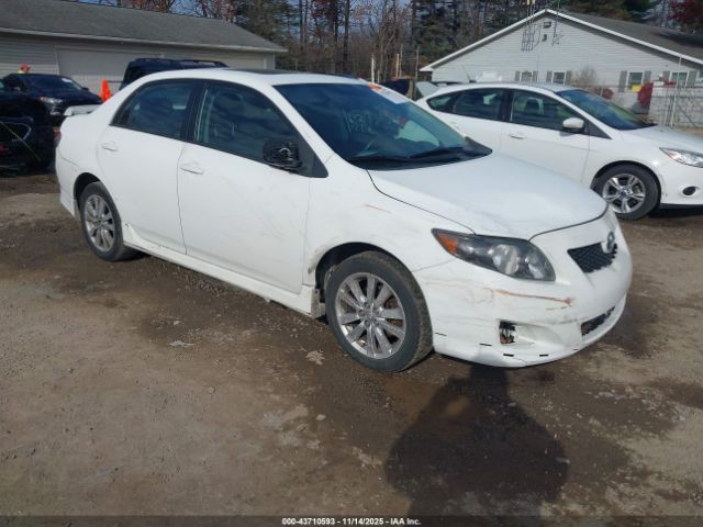 2010 TOYOTA COROLLA 2T1BU4EE0AC311783