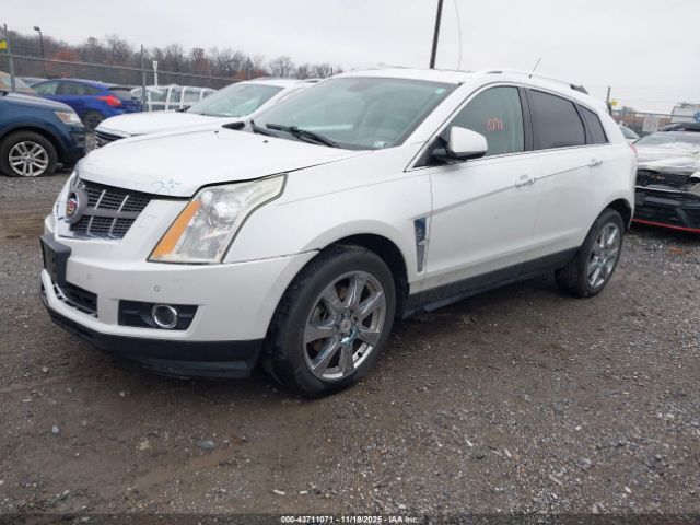 2011 CADILLAC SRX 3GYFNFEY9BS618081 Photo 1