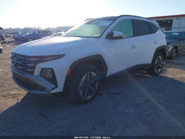 2025 HYUNDAI TUCSON HYBRID KM8JCDD13SU350803 Photo 1