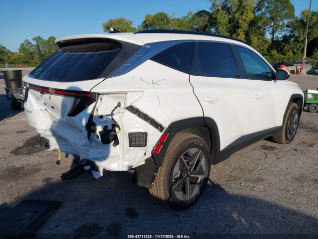 2025 HYUNDAI TUCSON HYBRID KM8JCDD13SU350803 Photo 3
