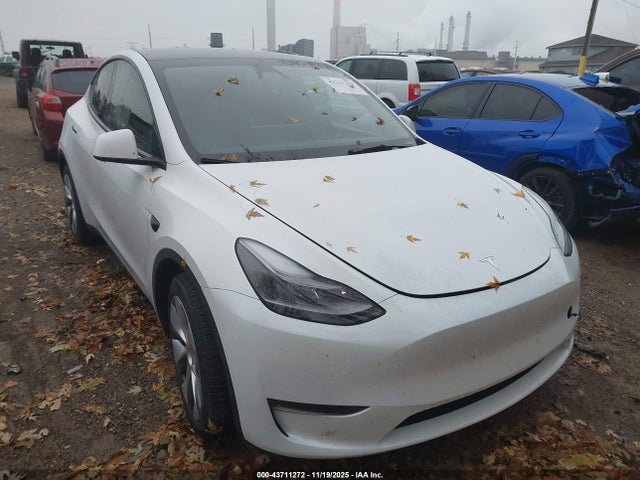 2024 TESLA MODEL Y 7SAYGDEEXRA260141 Photo 0