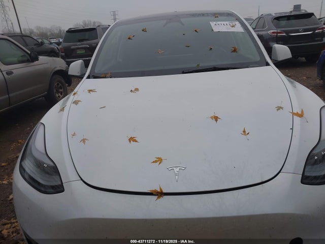 2024 TESLA MODEL Y 7SAYGDEEXRA260141 Photo 9