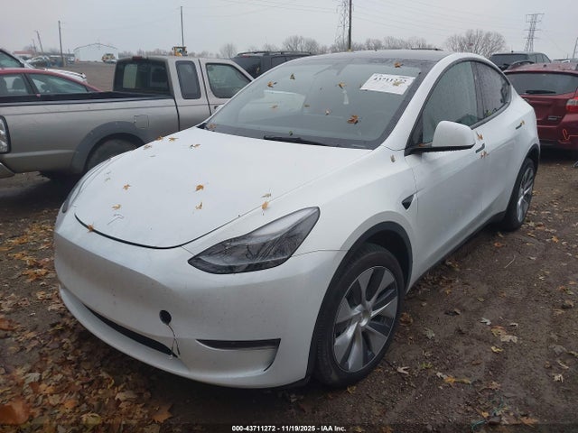 2024 TESLA MODEL Y 7SAYGDEEXRA260141 Photo 1