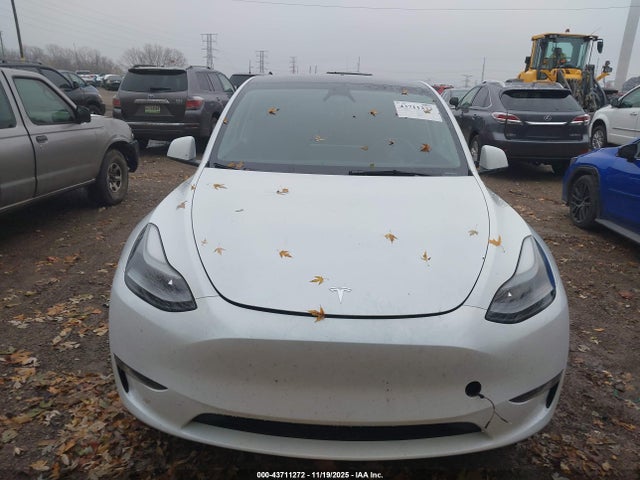 2024 TESLA MODEL Y 7SAYGDEEXRA260141 Photo 5