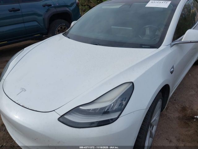 2019 TESLA MODEL 3 5YJ3E1EB5KF390175 Photo 9