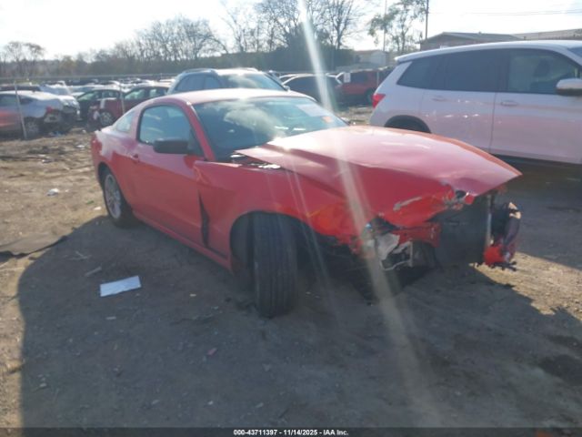 2013 FORD MUSTANG 1ZVBP8AM6D5250692 Photo 0