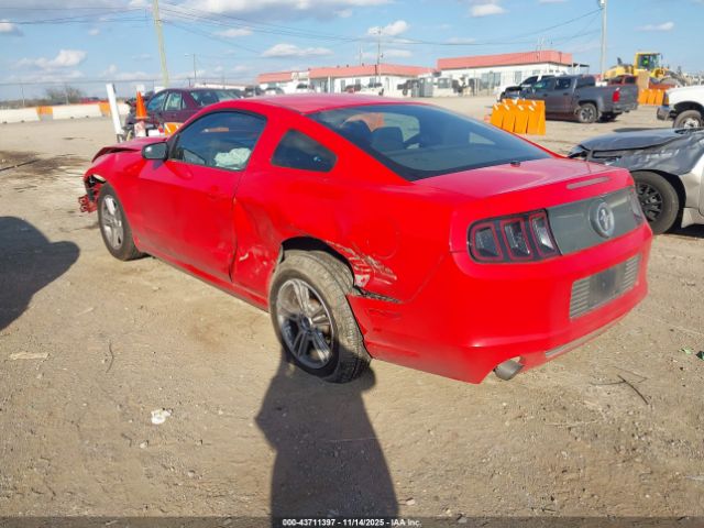 2013 FORD MUSTANG 1ZVBP8AM6D5250692 Photo 2