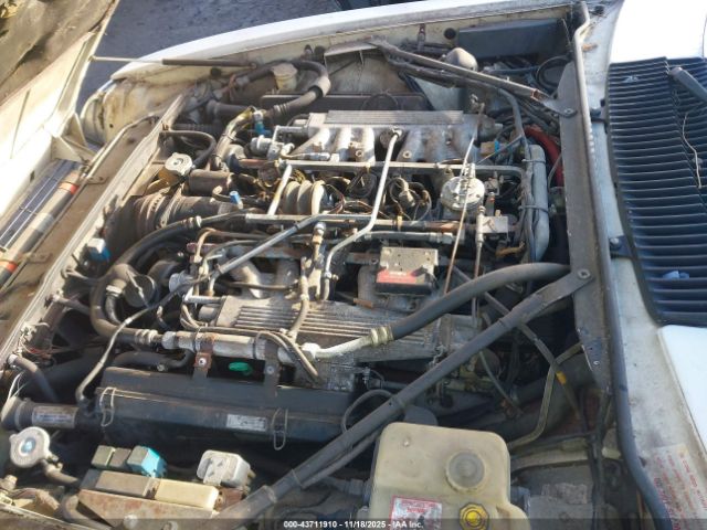 1989 JAGUAR XJS SAJNA5845KC150289 Photo 9