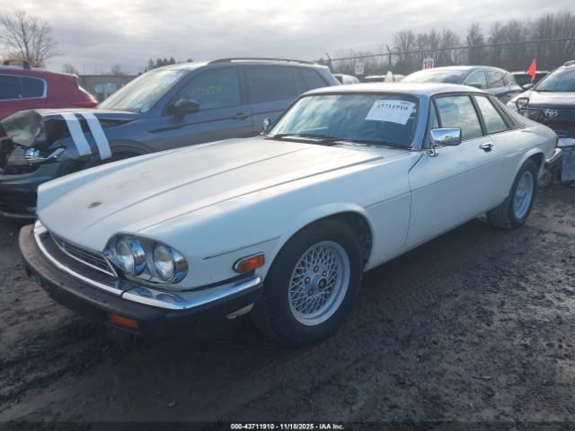 1989 JAGUAR XJS SAJNA5845KC150289 Photo 1