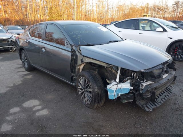 2023 NISSAN ALTIMA 1N4BL4DW2PN327671 Photo 0