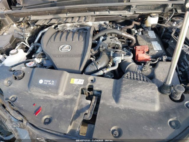 2023 LEXUS NX 350 2T2HGCEZ2PC021855 Photo 9
