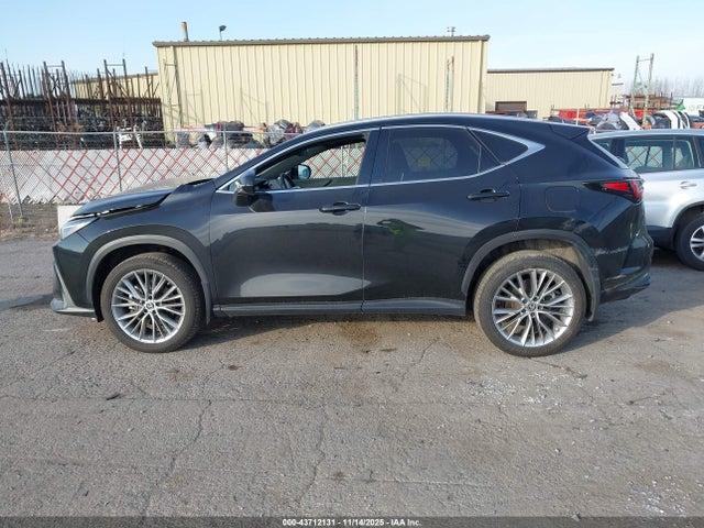 2023 Lexus Nx 350 Luxury მანქანა იყიდება აუქციონზე, vin: 2T2HGCEZ2PC021855, აუქციონის ნომერი: 43712131