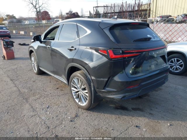 2023 LEXUS NX 350 2T2HGCEZ2PC021855 Photo 2