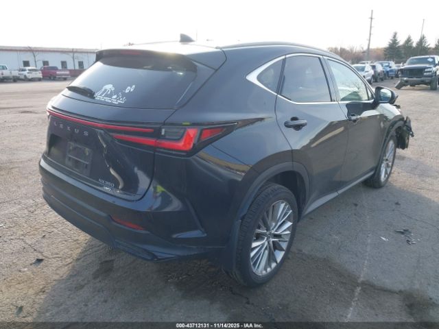 2023 LEXUS NX 350 2T2HGCEZ2PC021855 Photo 3