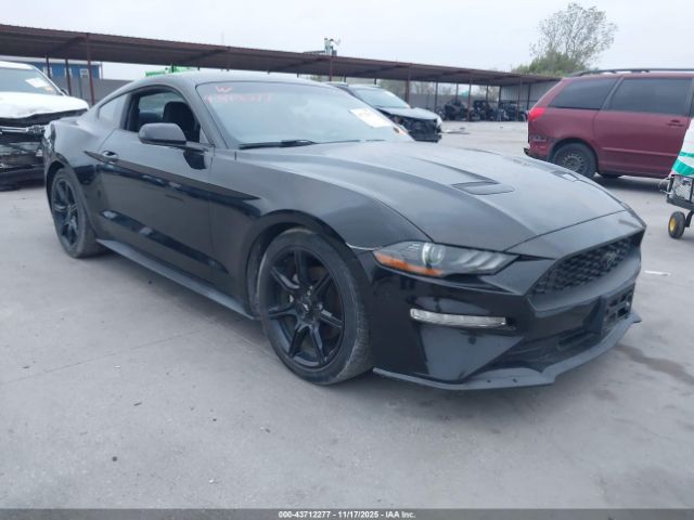 2019 FORD MUSTANG 1FA6P8TH1K5196256