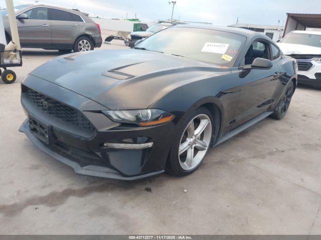 2019 FORD MUSTANG 1FA6P8TH1K5196256 Photo 1