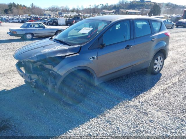 2014 FORD ESCAPE 1FMCU0F78EUB54604 Photo 1