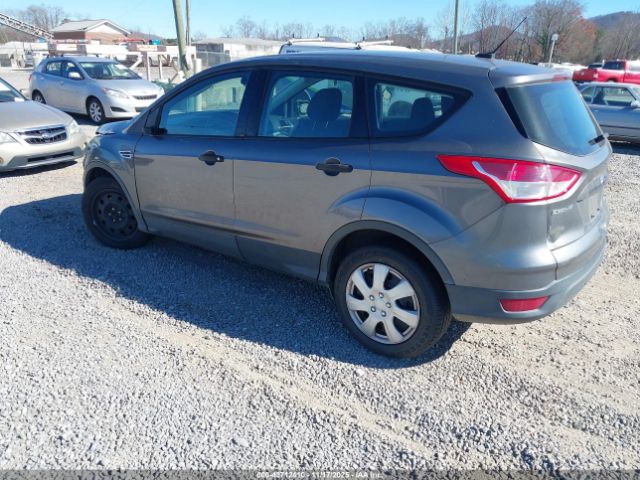 2014 FORD ESCAPE 1FMCU0F78EUB54604 Photo 2