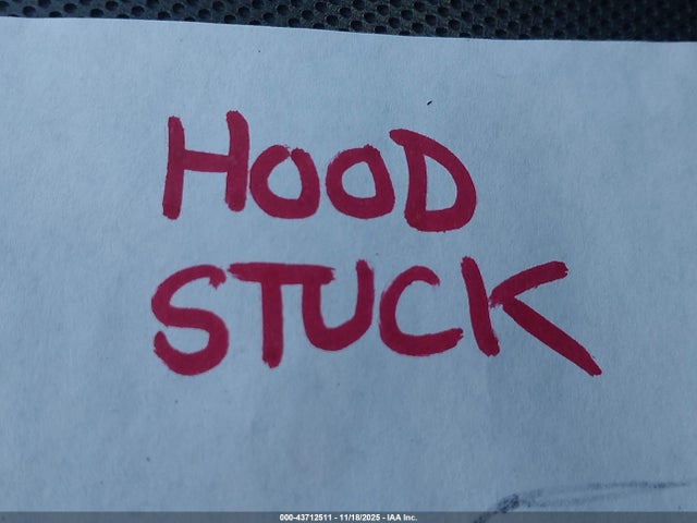 2024 VOLKSWAGEN GOLF R WVWFB7CD1RW220527 Photo 9