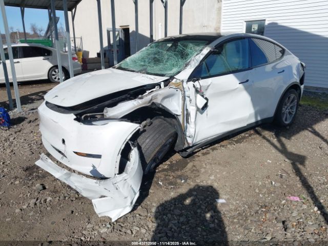 2023 TESLA MODEL Y 7SAYGDEE7PF699670 Photo 1