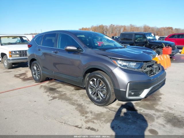 2020 HONDA CR-V 5J6RW2H84LA020286