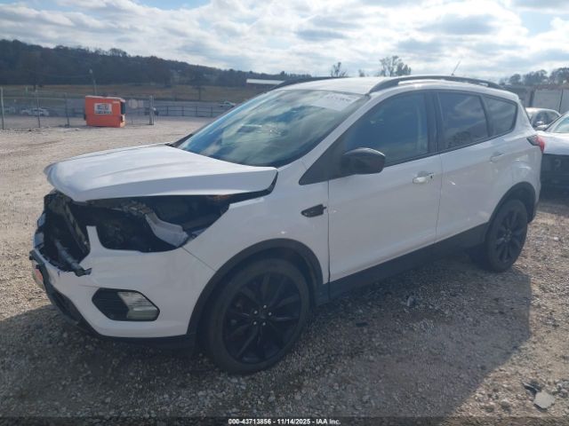 2019 FORD ESCAPE 1FMCU0GD6KUB29765 Photo 1