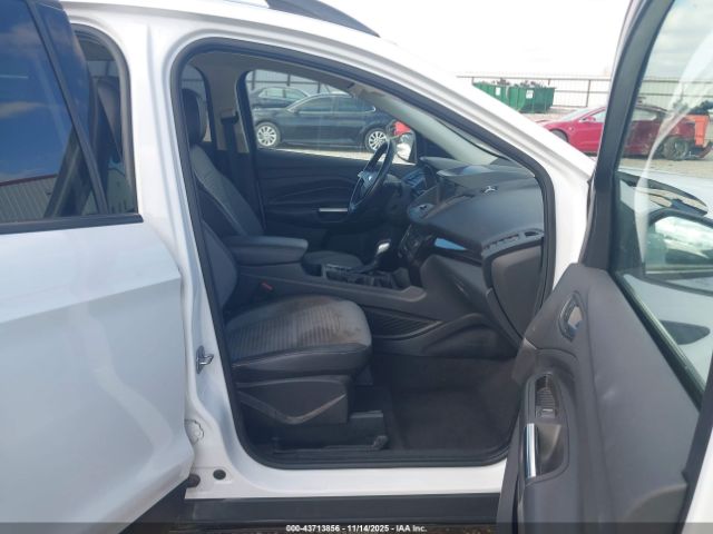 2019 FORD ESCAPE 1FMCU0GD6KUB29765 Photo 4