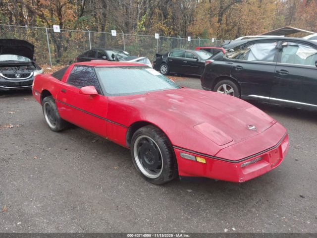 1990 CHEVROLET CORVETTE 1G1YY2384L5119453