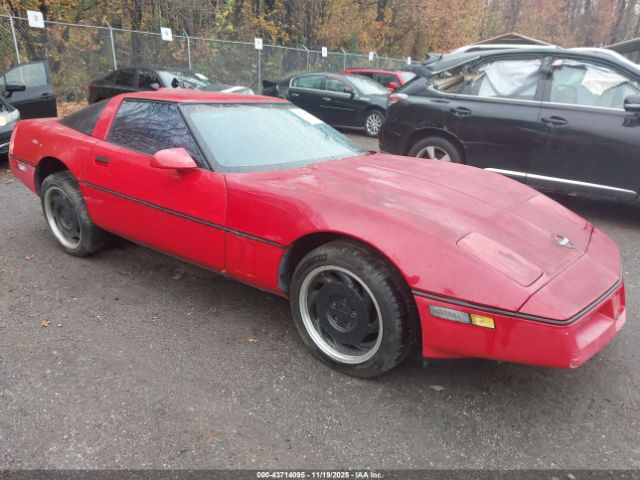 1990 CHEVROLET CORVETTE 1G1YY2384L5119453 Photo 5