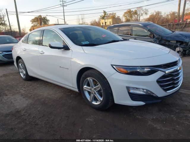 2024 CHEVROLET MALIBU 1G1ZD5ST1RF128816