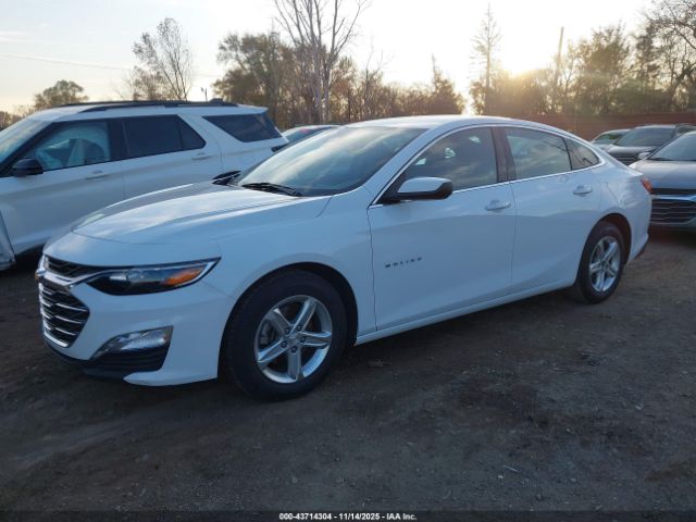 2024 CHEVROLET MALIBU 1G1ZD5ST1RF128816 Photo 1