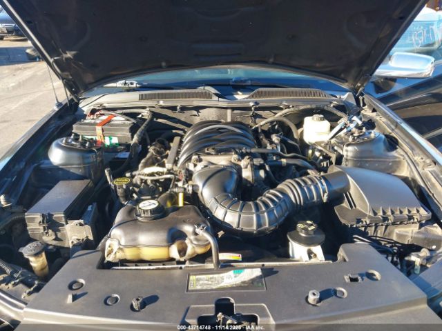 2006 FORD MUSTANG 1ZVHT85H565237728 Photo 9