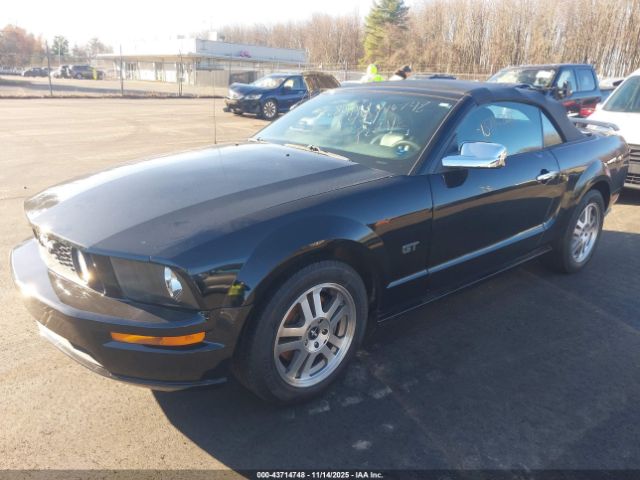 2006 FORD MUSTANG 1ZVHT85H565237728 Photo 1