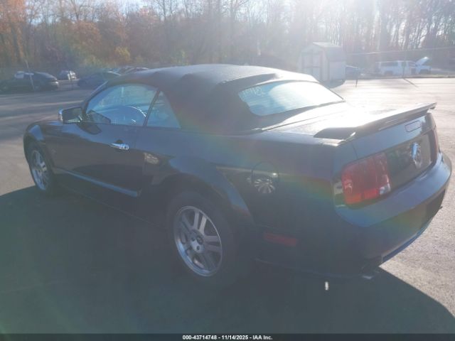 2006 FORD MUSTANG 1ZVHT85H565237728 Photo 2