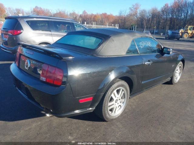 2006 FORD MUSTANG 1ZVHT85H565237728 Photo 3