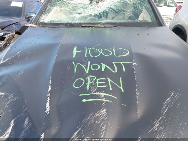 2024 MERCEDES-BENZ GLC 300 W1NKJ4HB6RF177738 Photo 9